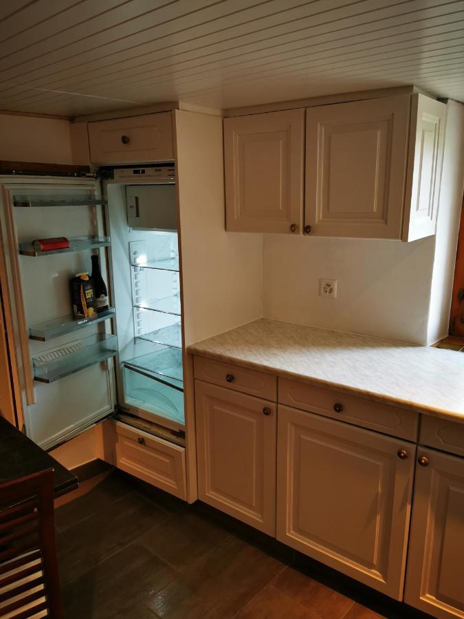 Orsières Joli Appartement Au Coeur Du Village מראה חיצוני תמונה